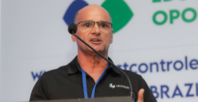 Clear & Valuable Insights